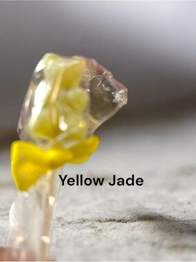 Yellow Jade Bear Candy with yellow bow